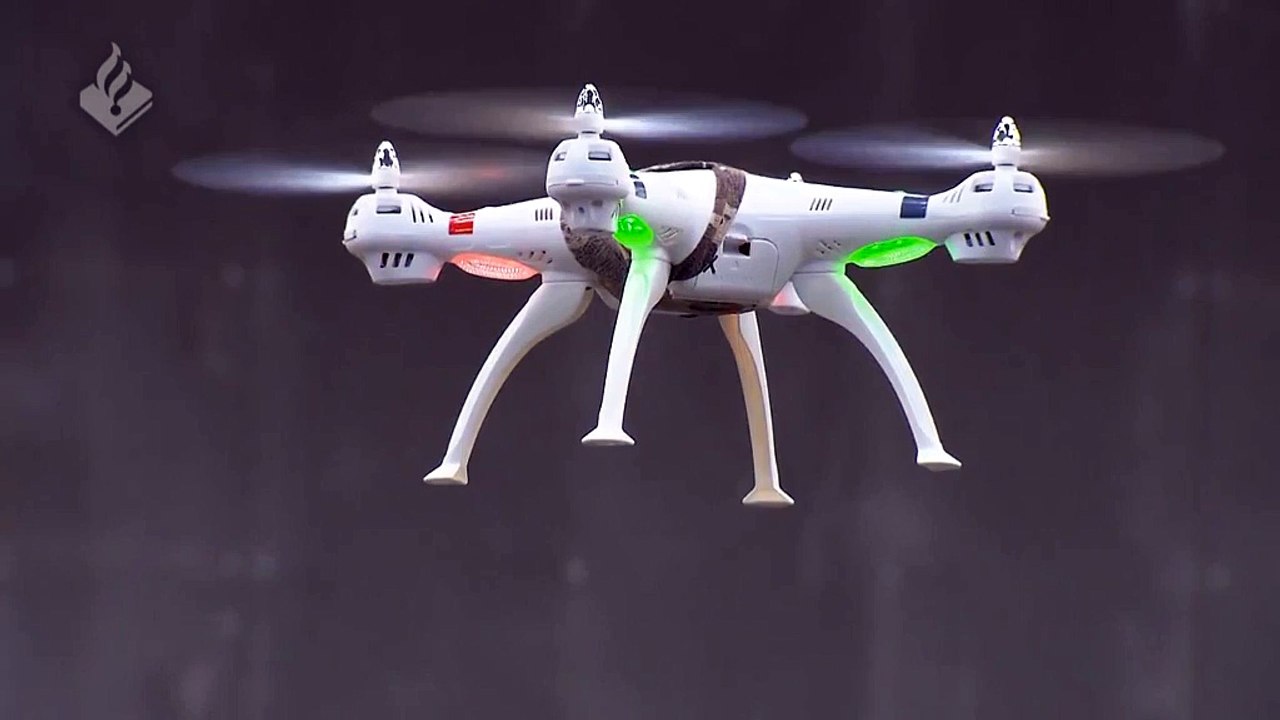 Dutch police turn to eagles to take down dangerous drones