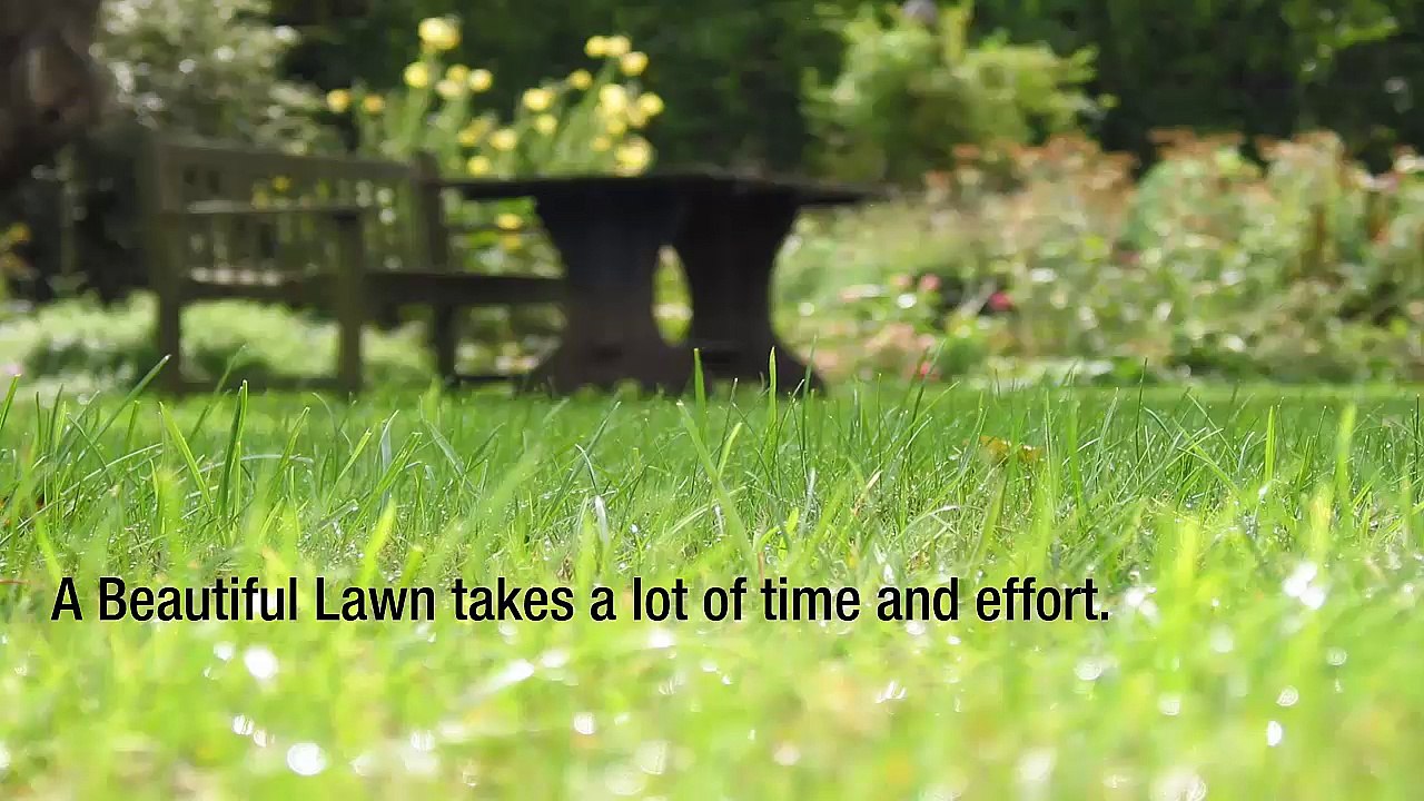 Vista Turf Lawn & Pest – A Lawn Care Company That Puts Their Customers First