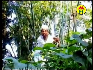 Bhadaima Akhon Banglar Modon