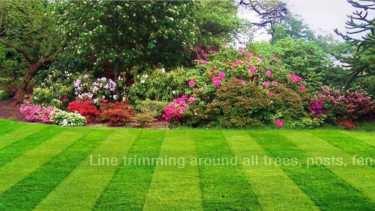 Vista Turf Lawn & Pest Provides More Than Just Lawn Maintenance