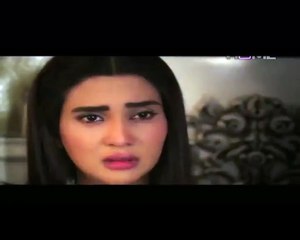Zara Si Ghalat Fehmi Episode 17 P1