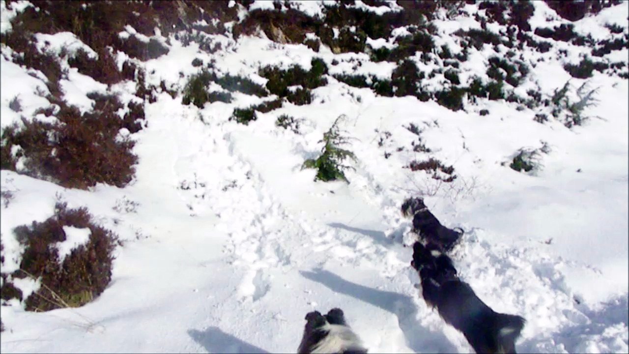 2016.01.17  GUZET - 1er jour