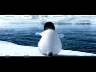 laz penguen