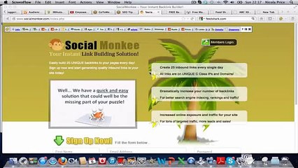 Social Monkee: - How Does It Work?