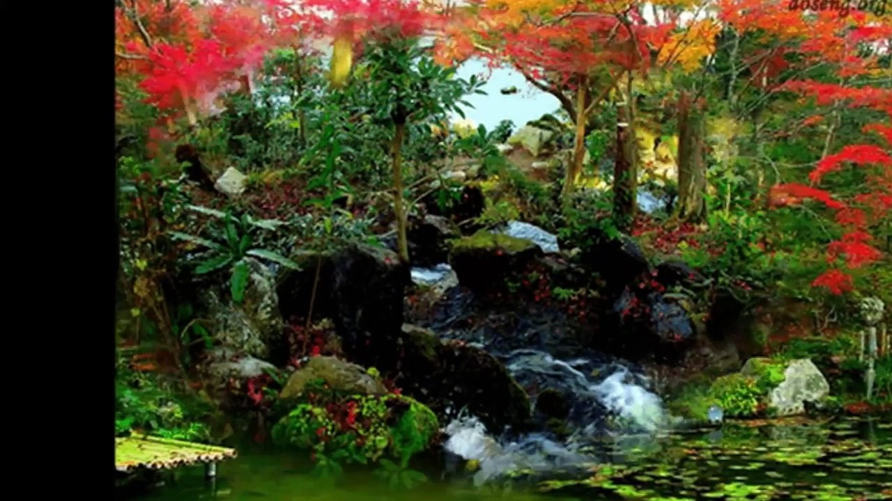 Ландшафтный дизайн.  Японский сад