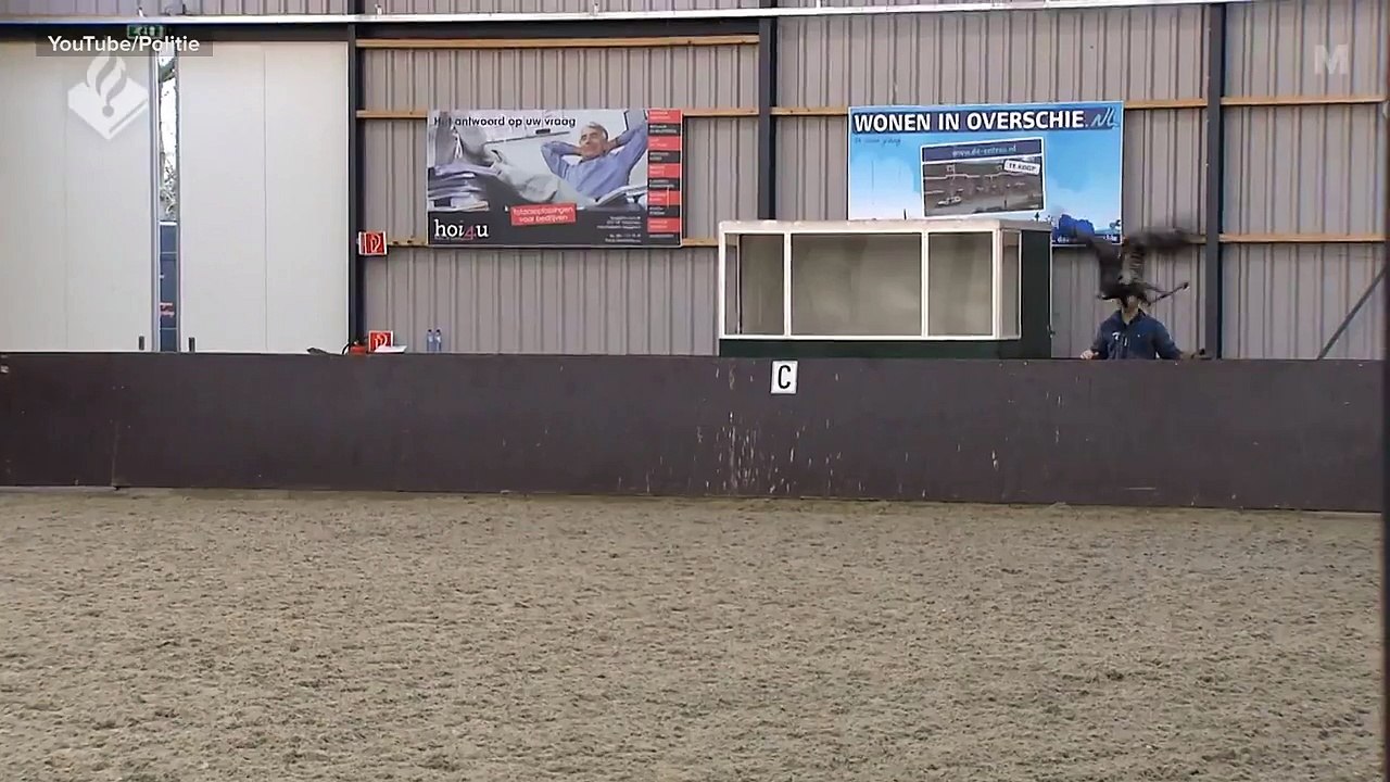 Dutch Police Is  Training Eagles to Grab Drones From the Sky