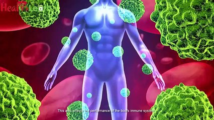 Weight Loss Program Review :The Flat Belly Forever System