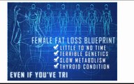 The Venus Factor Latest Reviews 2015 - Weight Loss System Really Works!