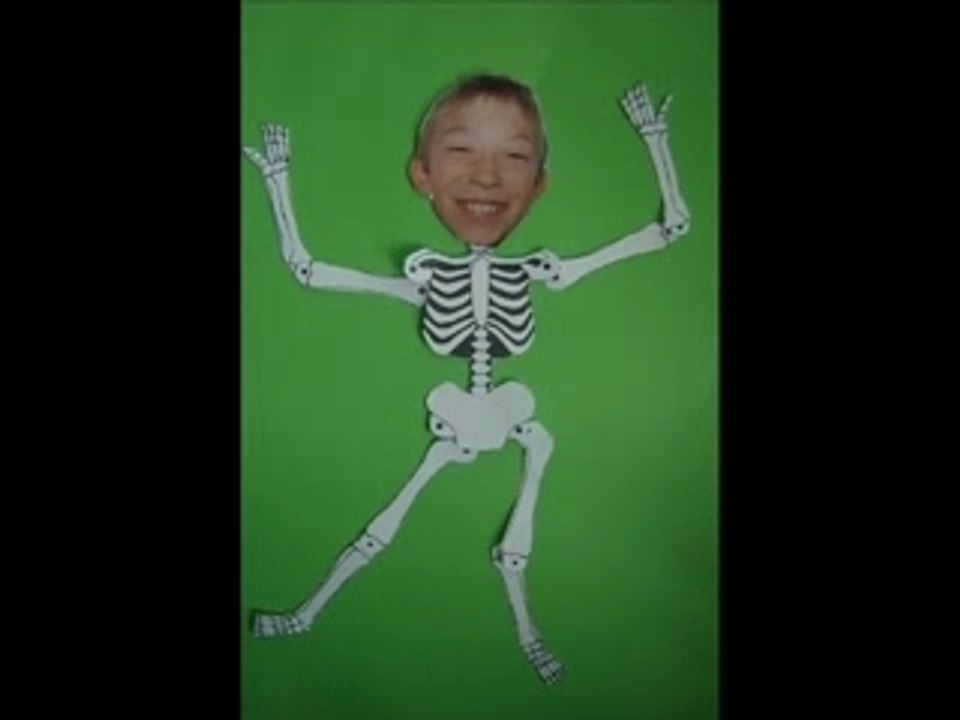 LE SQUELETTE DE LA MORT