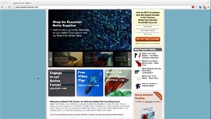 Niche Profit Classroom 5 0