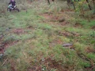 dirt 125