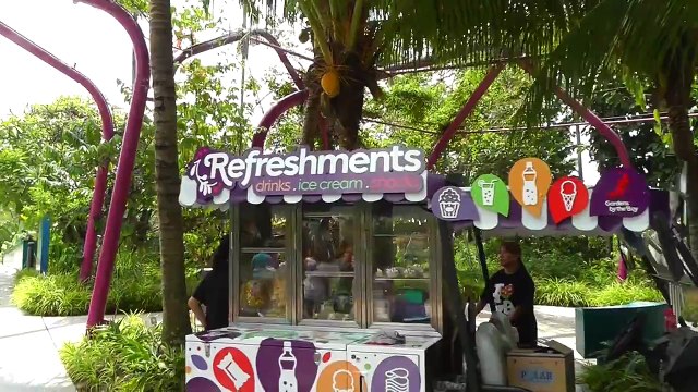 СИНГАПУР - ТРОПИЧЕСКИЙ ПАРК САДЫ У ЗАЛИВА - Gardens by the Bay Singapore