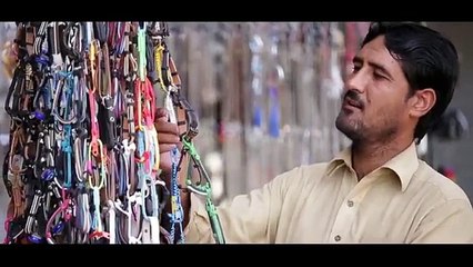 Pashto New Song 2016 - Fankar Zama Da Khaore