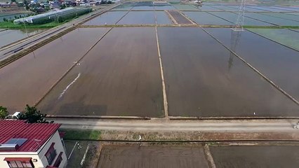 YAMAHA RMAXによる除草剤散布