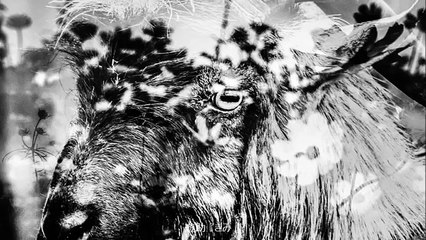 きみ （カラオケ） /　遊助