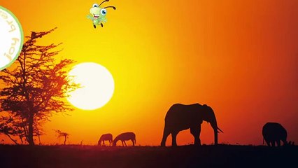 Law of Attraction for Kids - Today Dream