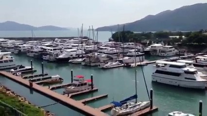 ASINSpector: Amazon. Shopify, E-Com Research Tool - Beth Carrick Testimonial