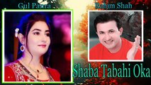 Rahim Shah, Gul Panra - Shaba Tabahi Oka