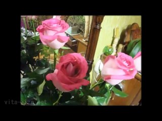 Розовая вода для лица