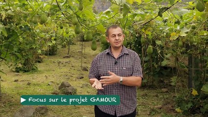 Ecophyto - Portrait de Jean-Philippe Deguine