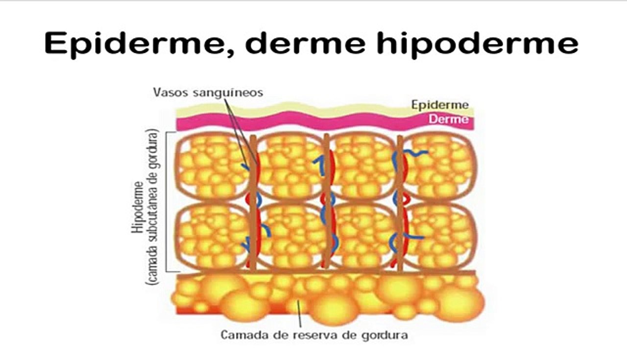 Adeus Celulite - Uma Dica  Muito Eficiente para Acabar Com a Celulite