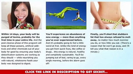Total Wellness Cleanse Review: Powerful Yuri Elkaim&#39;s Detox Diet Program