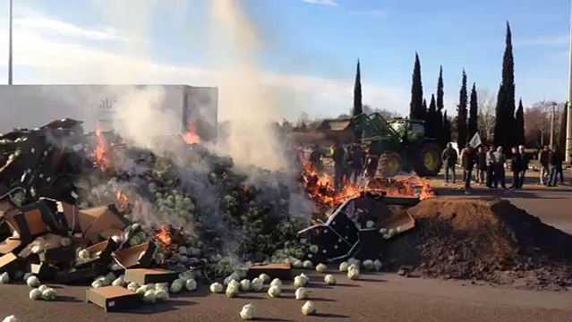 Les agriculteurs brûlent des salades en provenance d'Espagne