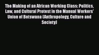 The Making of an African Working Class: Politics Law and Cultural Protest in the Manual Workers'