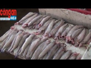 Nỗi lo an toàn vệ sinh thực phẩm ngày Tết