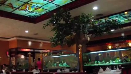 Como Abrir un Restaurante de Comida China - Guia de Trámites
