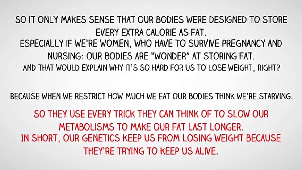 The best Fat diminisher system review | fastest way to lose weight for men and women