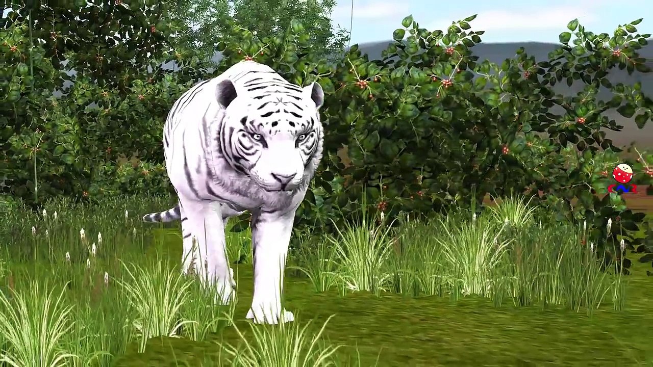 Tiger Cartoon Fighting And Singing Finger Family Children Nursery Rhymes 3D Animation