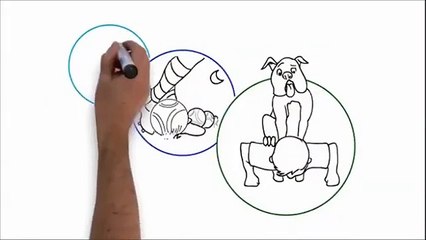 Soccer Drills for Kids | Epic Soccer Training