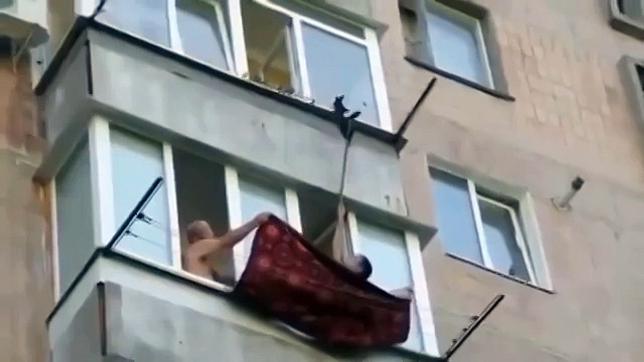 Летающие кошки! Не проходите мимо!