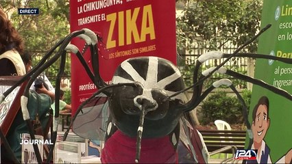 Zika : "Urgence de santé publique de portée mondiale" (OMS)