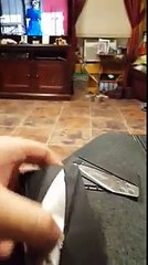 Credit card knife