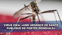 Virus Zika: L'OMS décrète «une urgence de santé publique»