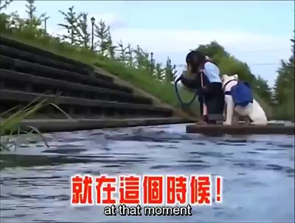 Genius Monkey! watch to the end