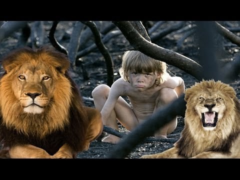 5 Историй о животных, которые спасли людей от смерти - Интересные факты СМОТРЕТЬ ВСЕМ