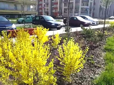 Русская Чехия 111. Весна идет