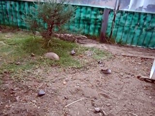 Íåâåðîÿòíî..Ñìîòðèòå ÷òî íà çàïàäå äåðæàò äîìà, è ýòî äàæå íå Ðîññèÿ..