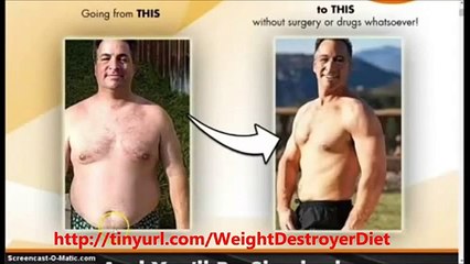 Weight Destroyer Review - Program By Michael Wren Good?