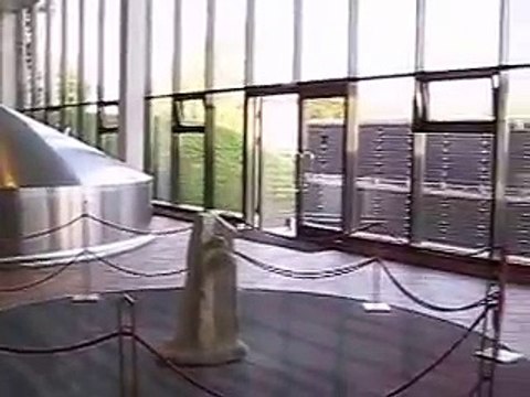 ЧЕХИЯ - пивзавод КРУШОВИЦЕ