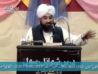حضور ﷺ کی اداؤں کا نام ہی دین ہے، حضور جو عمل فرما لیں، وہ دین بن جاتا ہے - محمد رضا ثاقب مصطفائی صاحب