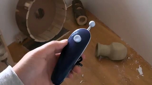 Erstes Clickertraining mit meinen Mäusen