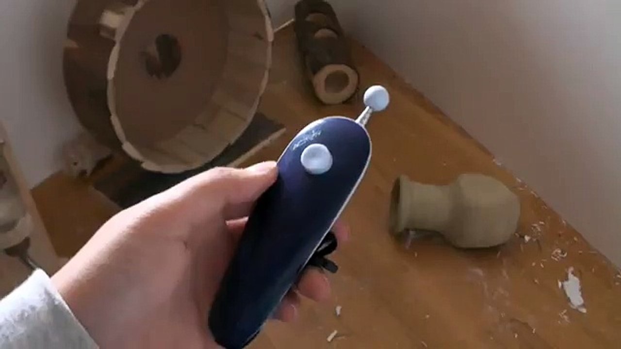 Erstes Clickertraining mit meinen Mäusen