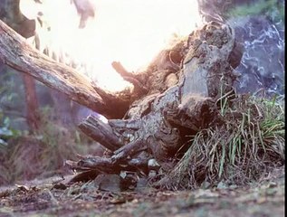 Mondbasis Alpha 1 Staffel 2 Folge 23 deutsch german