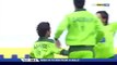 Shahid Afridi takes an amazing catch of Cameron White
