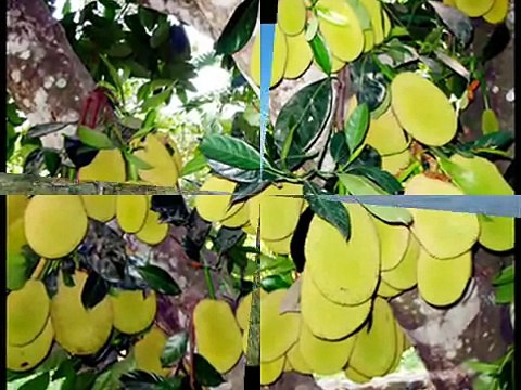 Вьетнам - Красивая Страна. Туры во Вьетнам