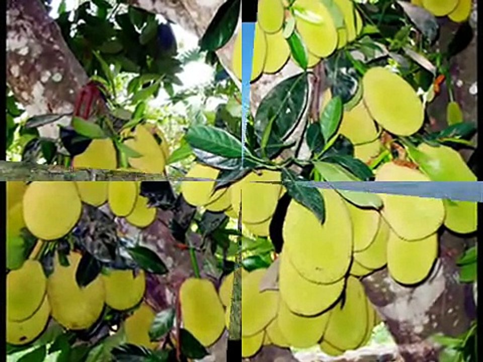 Вьетнам - Красивая Страна. Туры во Вьетнам